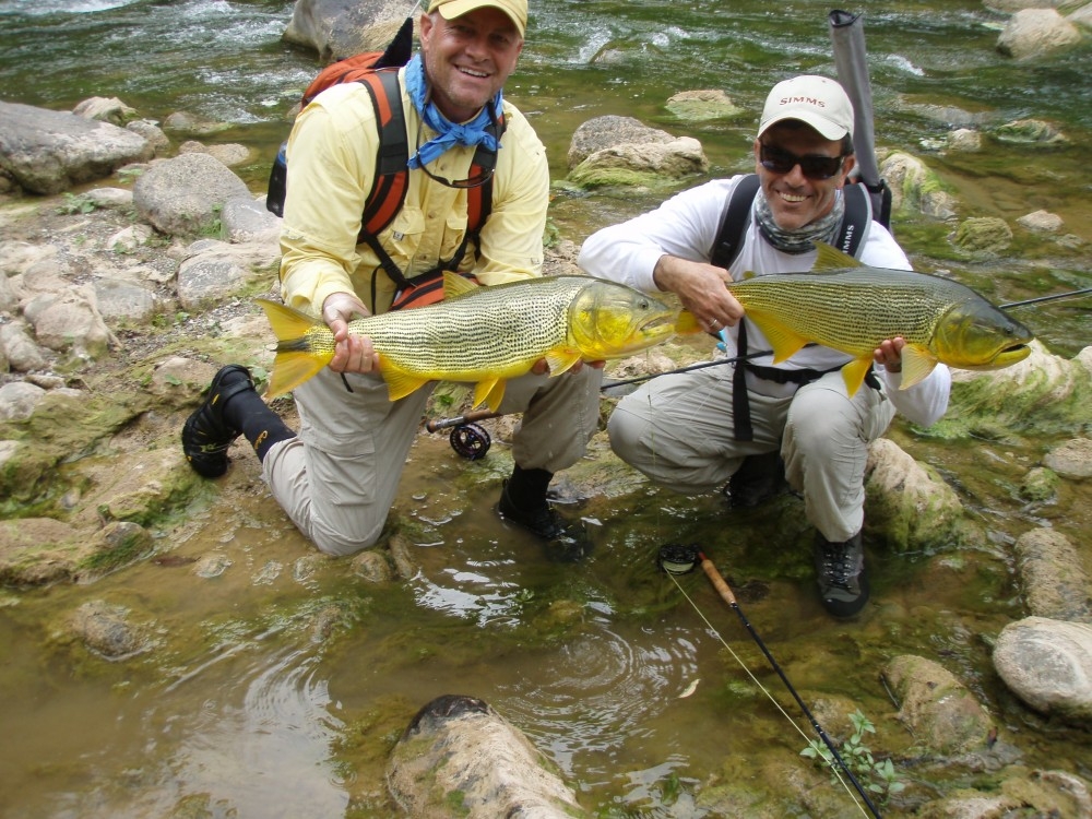 large_5344