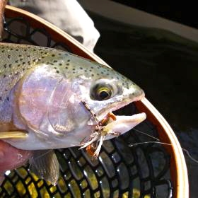 imgp2491-jpg_280_cw280_ch280_thumb