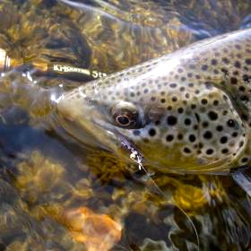 imgp2556-jpg_280_cw280_ch280_thumb